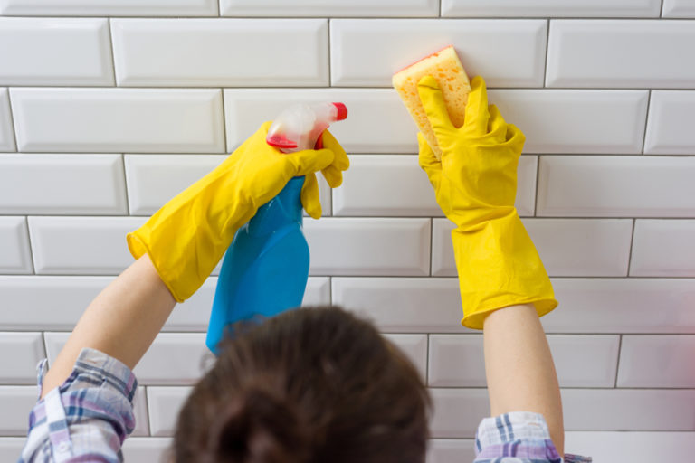 How to Get Rid of Mold Growth Home Cleaning Services