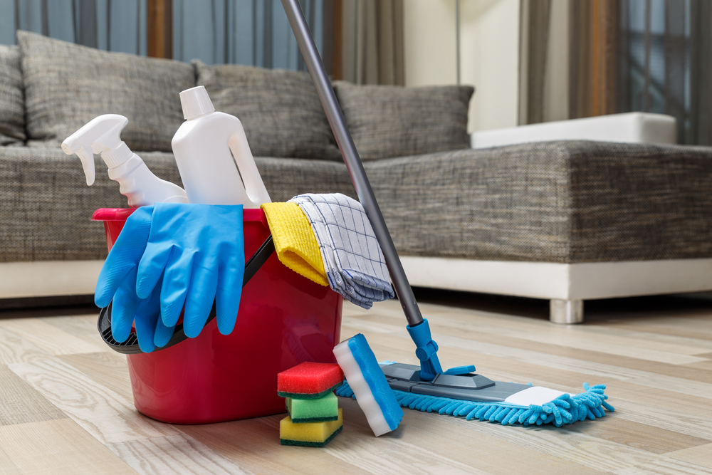 monthly cleaning service